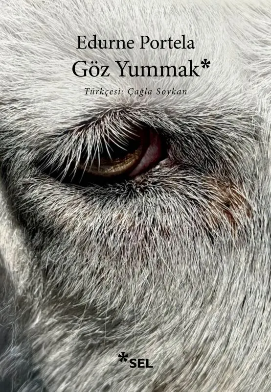 Göz Yummak kitabının kapağı