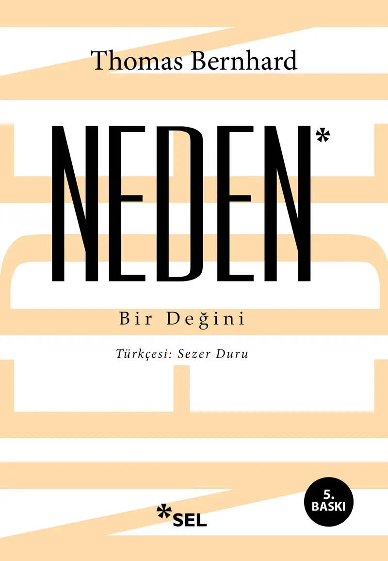 Neden: Bir Değini kitabının kapağı