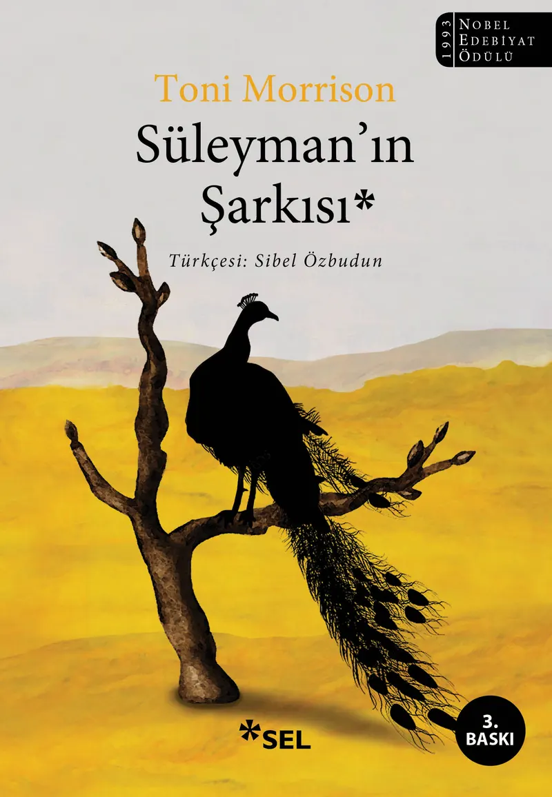 Süleyman'ın Şarkısı kitabının kapağı